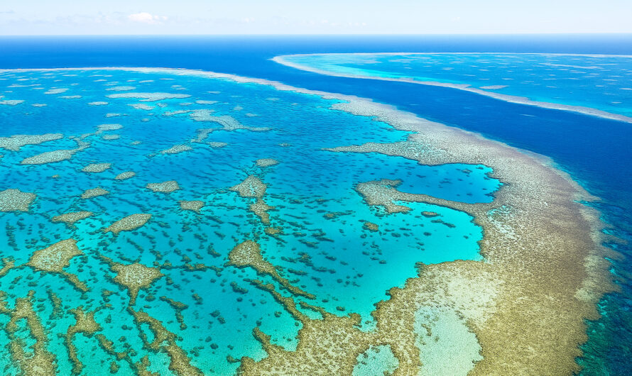 Great Barrier Reef – Der Ozean in seiner schönsten Form